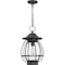 Quoizel Boston 1-Light Mottled Black Mini Pendant BST1511MB - alternate 2